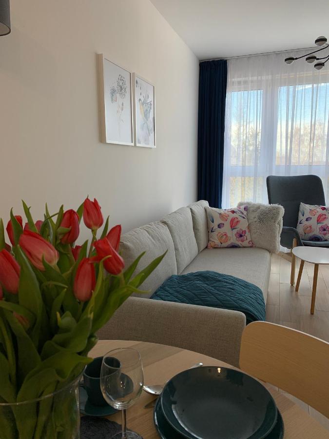 Apartamenty Bliska 33 Bielsko-Biała Exterior foto